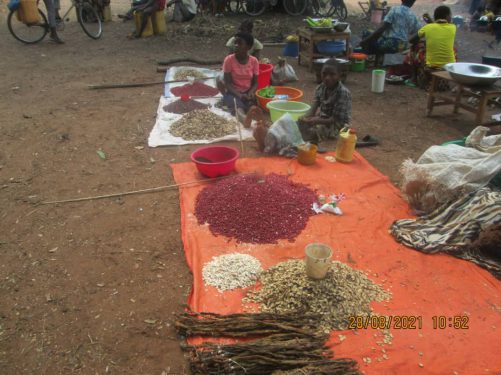 Participatory development of the palm oil and food crop sector in the province of KASAI-ORIENTAL, DR-Congo