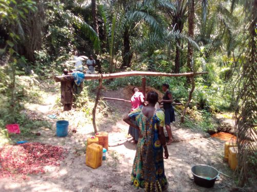 Participatory development of the palm oil and food crop sector in the province of KASAI-ORIENTAL, DR-Congo